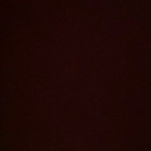 Meet your Posher, Gus